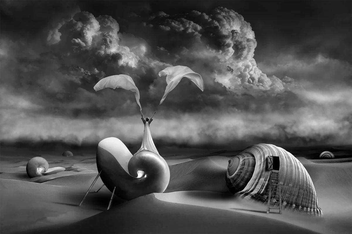 Christoph Woloszyn - Surreal - Muschelinsel